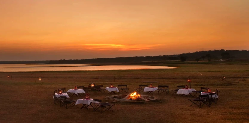 The Bison Wildlife Resort