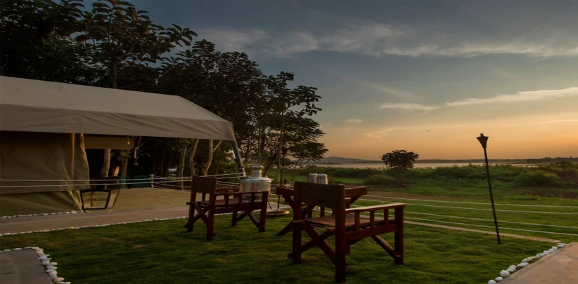 The Bison Wildlife Resort