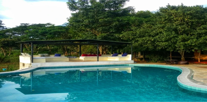 The Bison Wildlife Resort