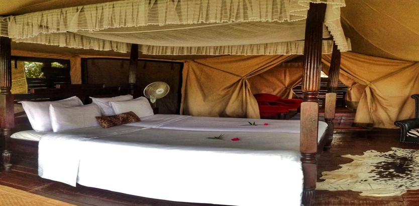 The Bison Wildlife Resort