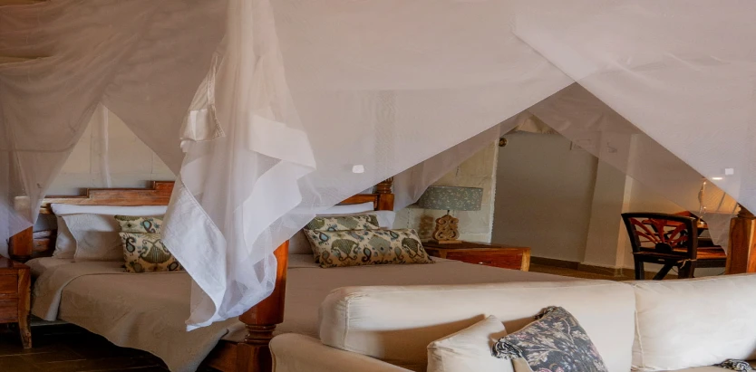 The Bison Wildlife Resort