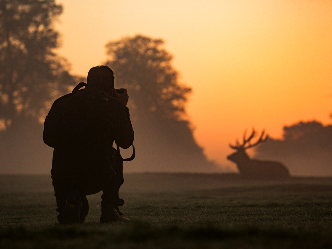 Wayanad Wildlife Sanctuary
