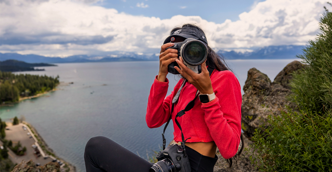 Wildlife Photography