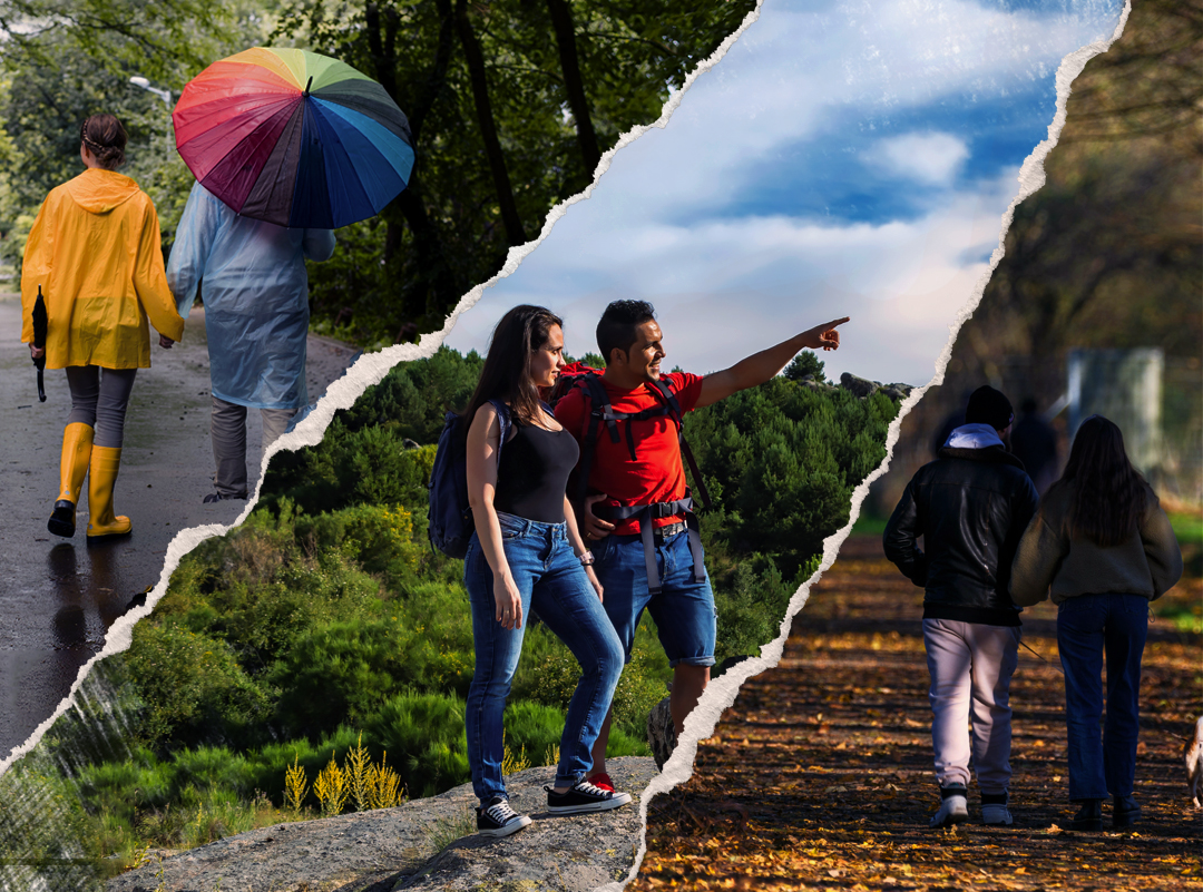 Seasons Of Nagarahole