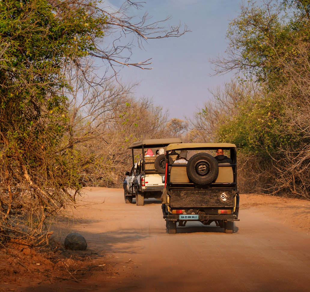 Nagarahole As Biosphere Reserve and Tiger Reserve