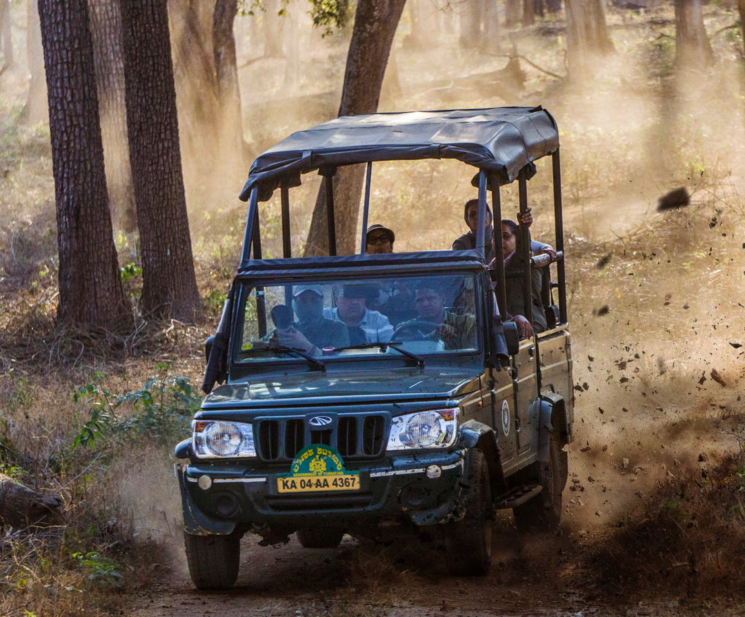 How Safaris Are Managed